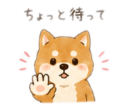 877231808