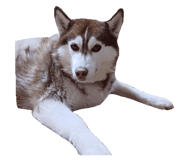 877231995