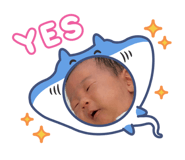 877232216