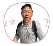 877232381