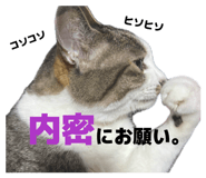877232422