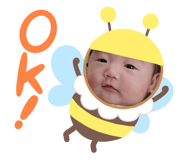 877232511
