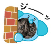 877232919