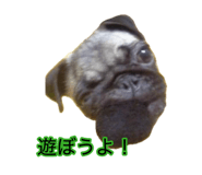 877232966