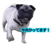 877232967