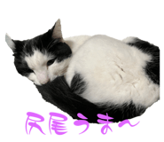 877240375