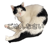 877240376