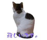 877240380