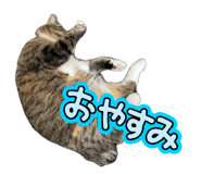877243171