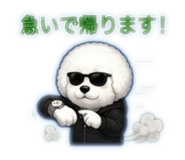 877243313