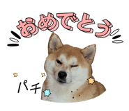 877243360