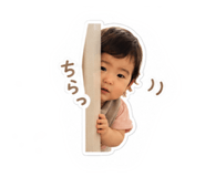 877244095