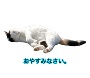 877245070