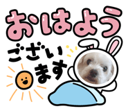 877245588