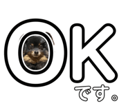 877245923