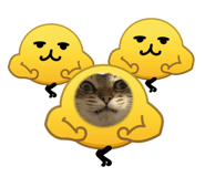 877257258