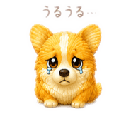 877258337