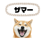 877269961