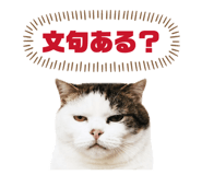 877269962