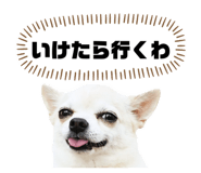 877269963