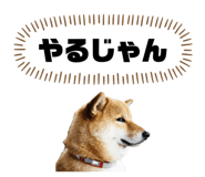 877269965