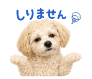 877270376