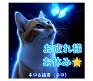 877270706