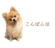 877278112