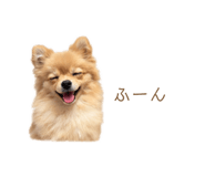 877278116