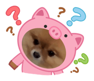 877280822