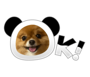 877280823