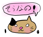 877297171