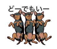 877298629