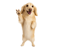 877299001