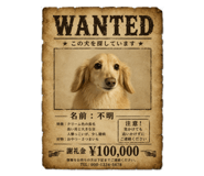 877299002