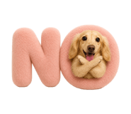 877299013
