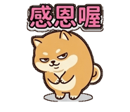 877303219