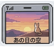 877305645