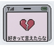 877305651
