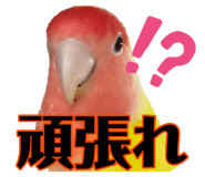 877312793