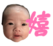 877313494