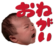 877313511
