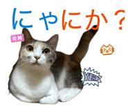 877314195