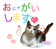 877314200