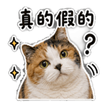 877329466