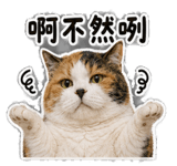 877329469