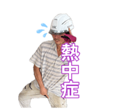 877334590