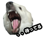 877335296