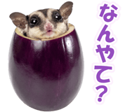 877338350