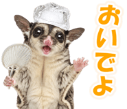 877338358
